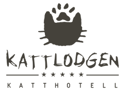 KATTLODGEN